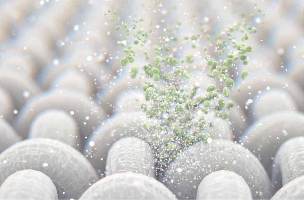 Common Household Uses for Dishwashing Liquid MaidForYou