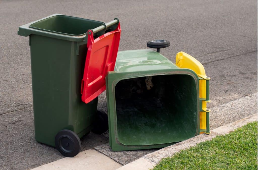 Comprehensive Steps to Clean Your Wheelie Bin Properly MaidForYou
