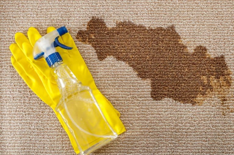Is It Worth Getting Your Carpets Professionally Cleaned? MaidForYou