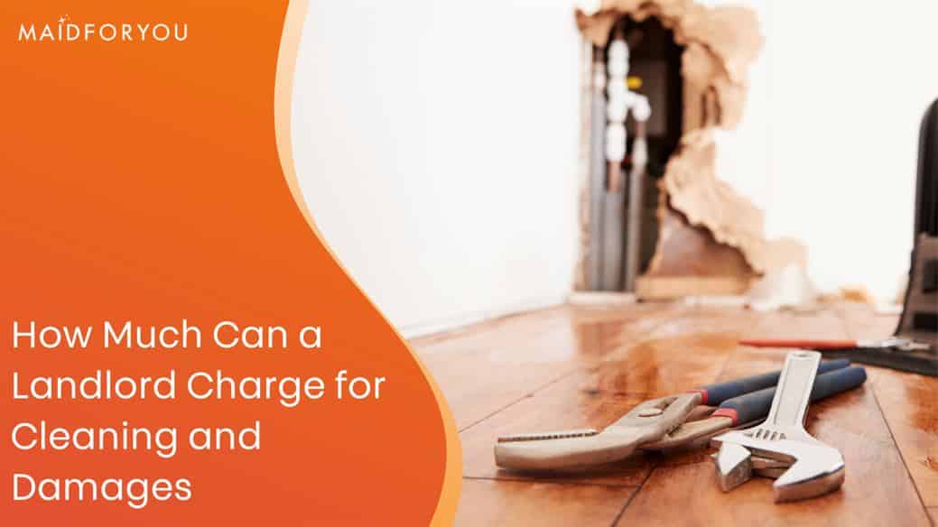 Costs a Landlord Can Charge for Cleaning and Damages MaidForYou