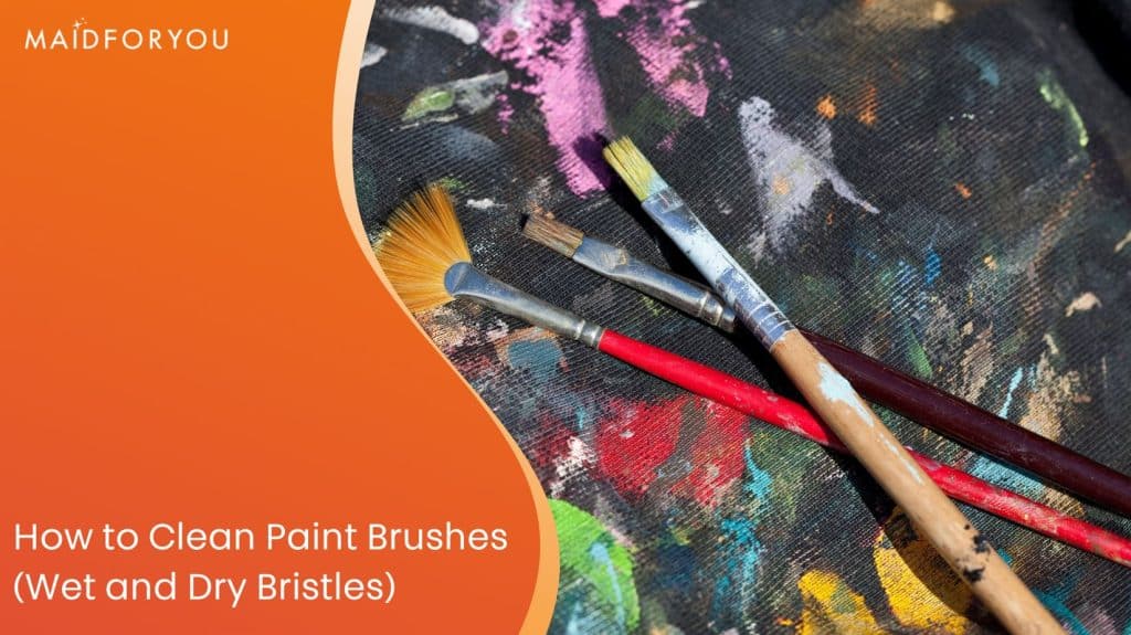 How to Clean Paint Brushes (Wet and Dry Bristles) MaidForYou