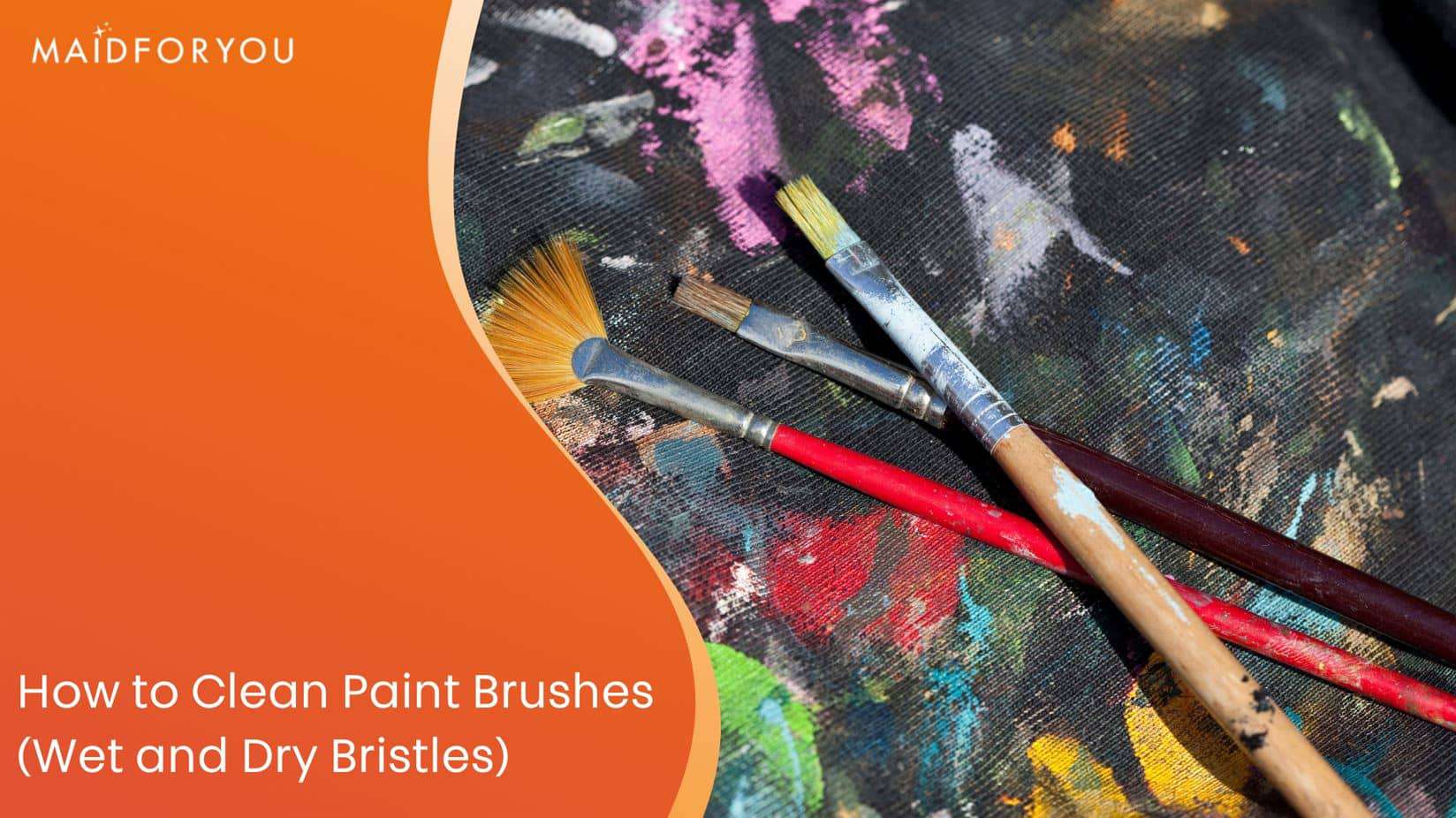 How to Clean Paint Brushes (Wet and Dry Bristles) MaidForYou