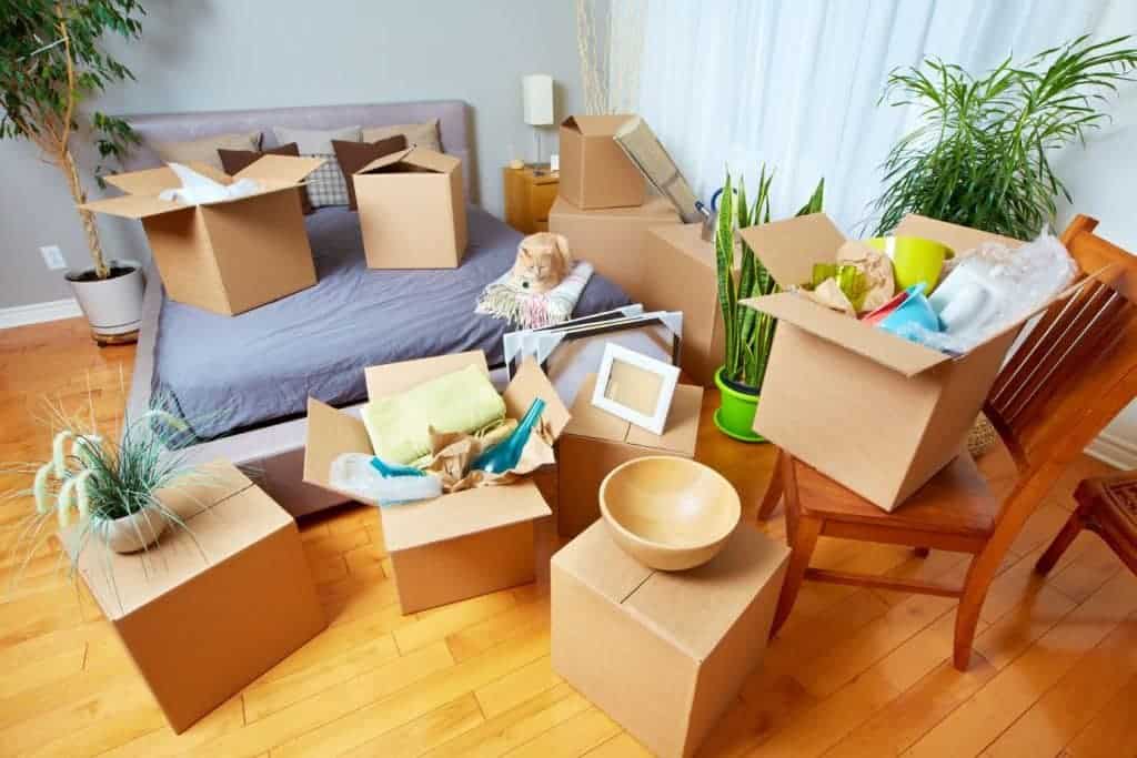 Can a Landlord Tell You to Clean Your House? MaidForYou