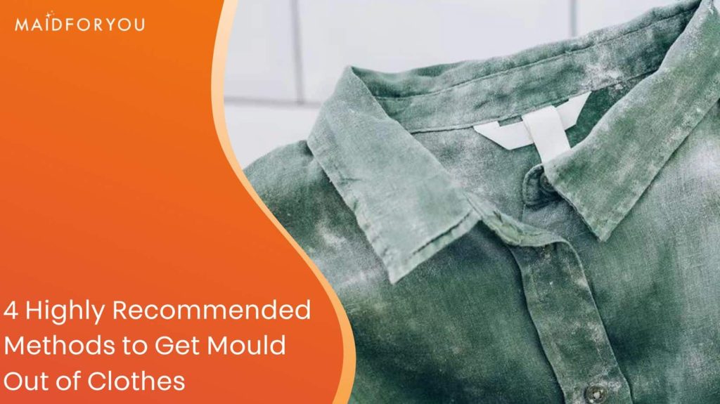 4 Highly Recommended Methods to Get Mould Out of Clothes