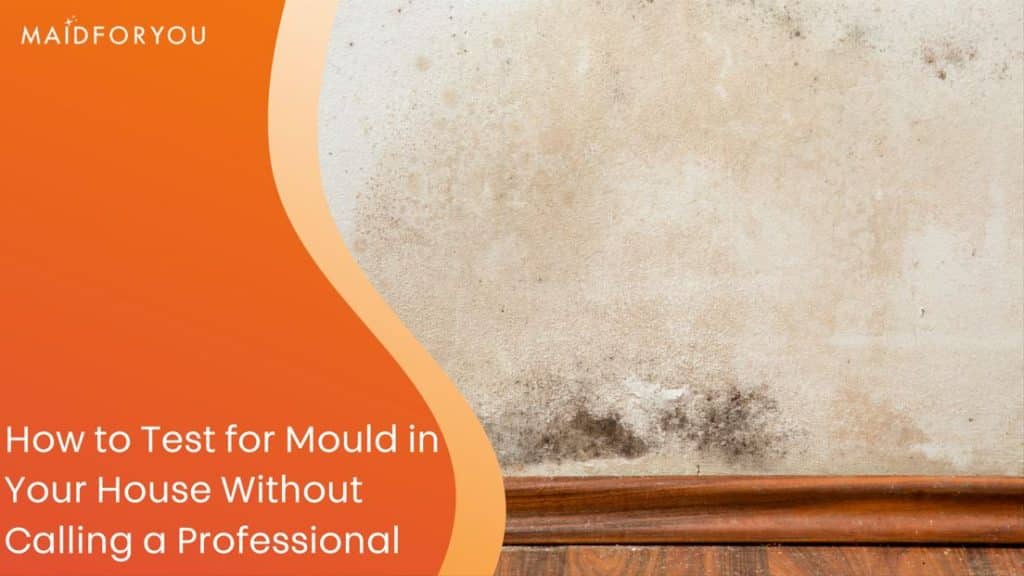 How to Test for Mould in Your House | MaidForYou