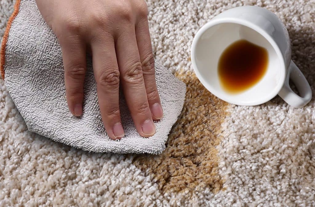 Easy DIY Methods to Get Coffee Stains Out of Carpet MaidForYou