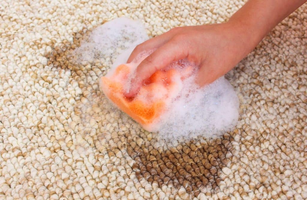 Easy DIY Methods to Get Coffee Stains Out of Carpet | MaidForYou