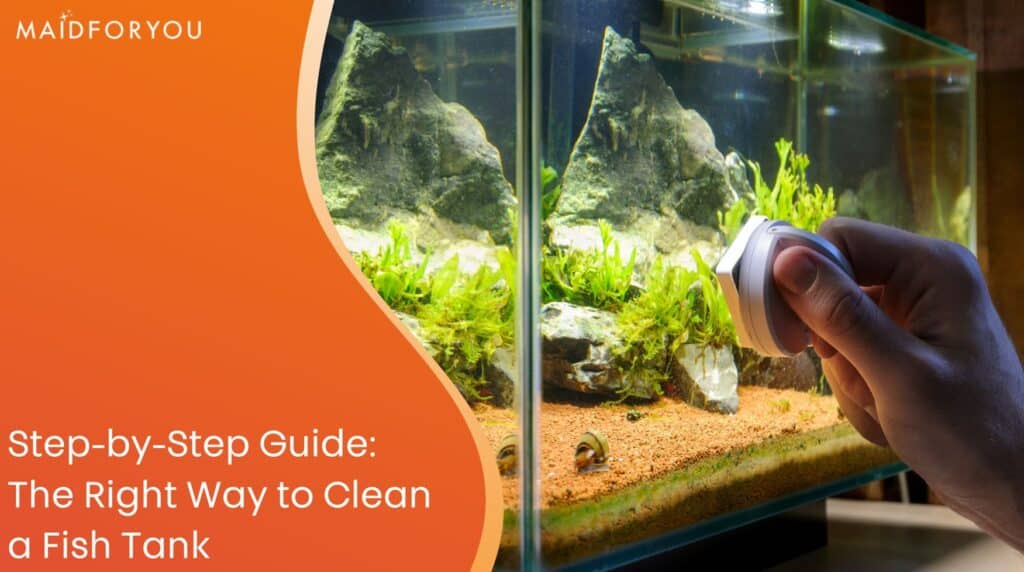 StepbyStep Guide How to Clean a Fish Tank MaidForYou