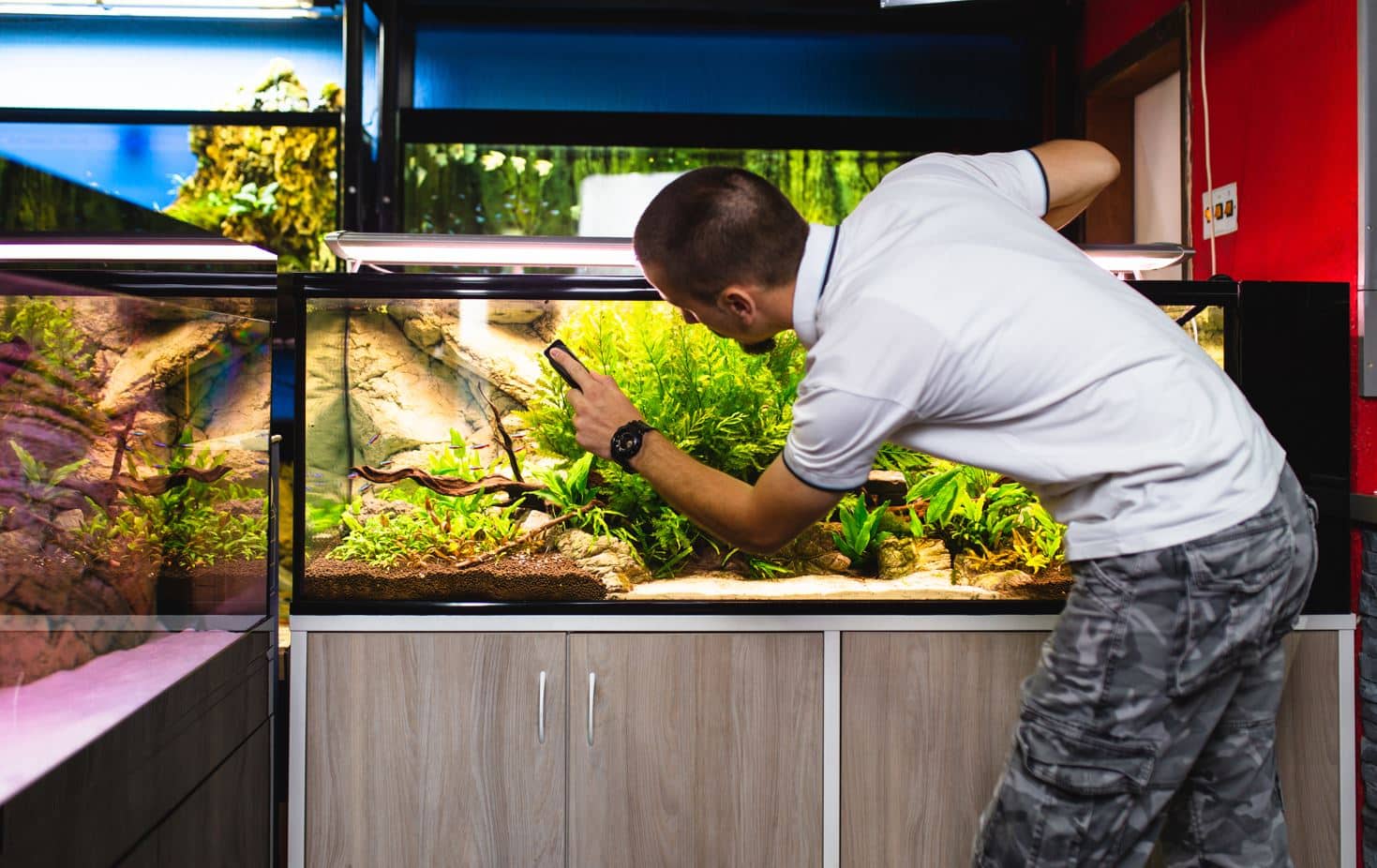 StepbyStep Guide How to Clean a Fish Tank MaidForYou