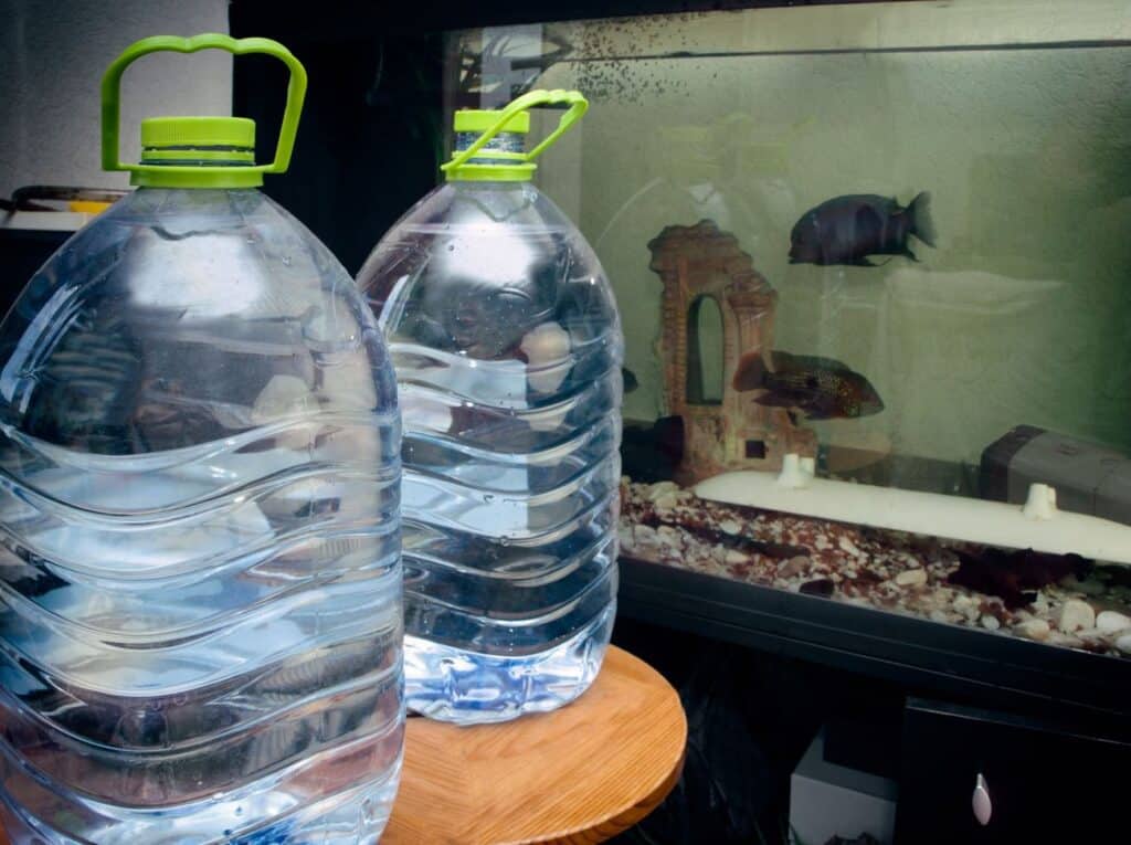 StepbyStep Guide How to Clean a Fish Tank MaidForYou