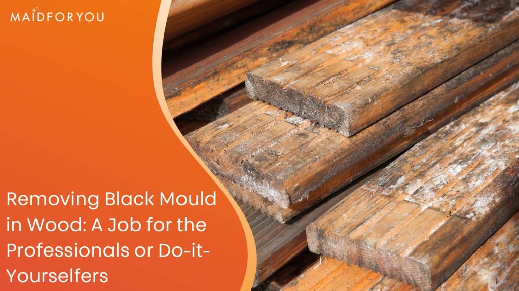 Removing Black Mould in Wood