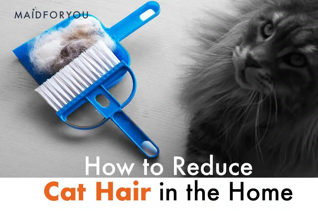 how to reduce cat hair in the home custom graphic