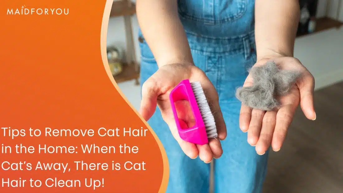 how to remove cat hair from the home custom graphic