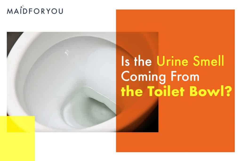 Bathroom Cleaning Urine Smell OUT MaidForYou