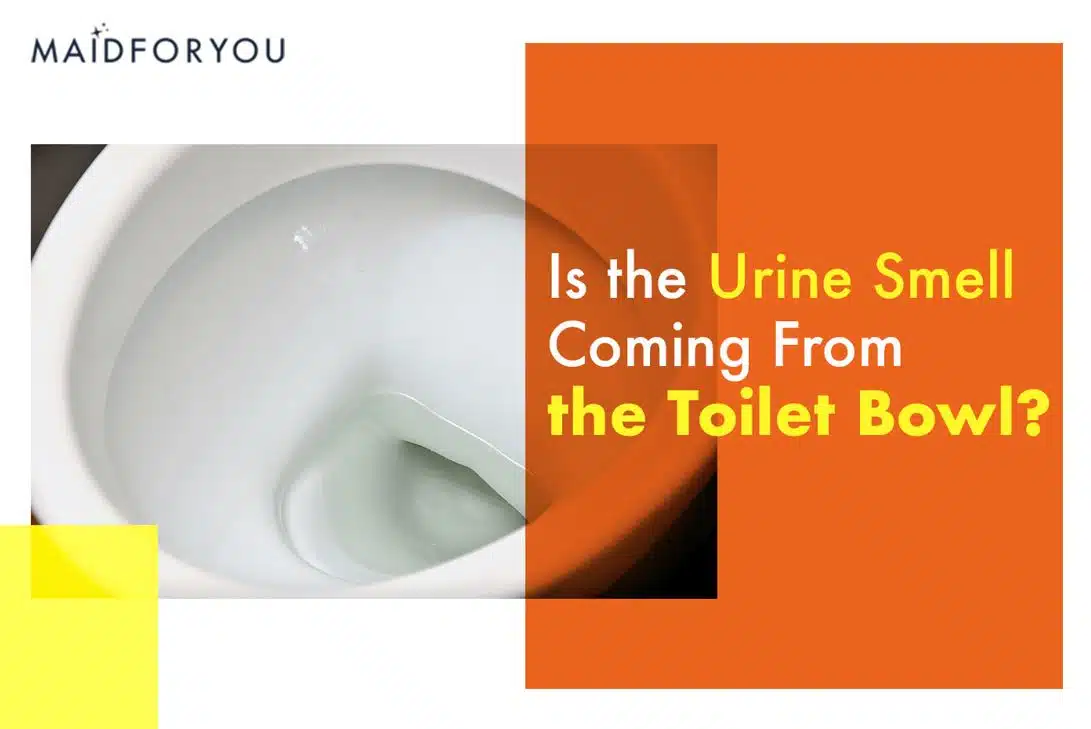 is the urine coming from the toilet bowl custom graphic
