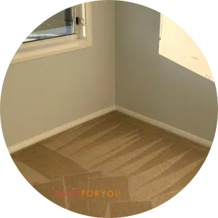 brown carpet with wand marks after being steam cleaned